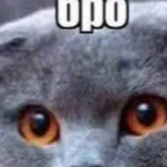 chat with ai character: Бро Ожил