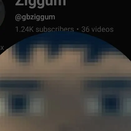 chat with ai character: Ziggum