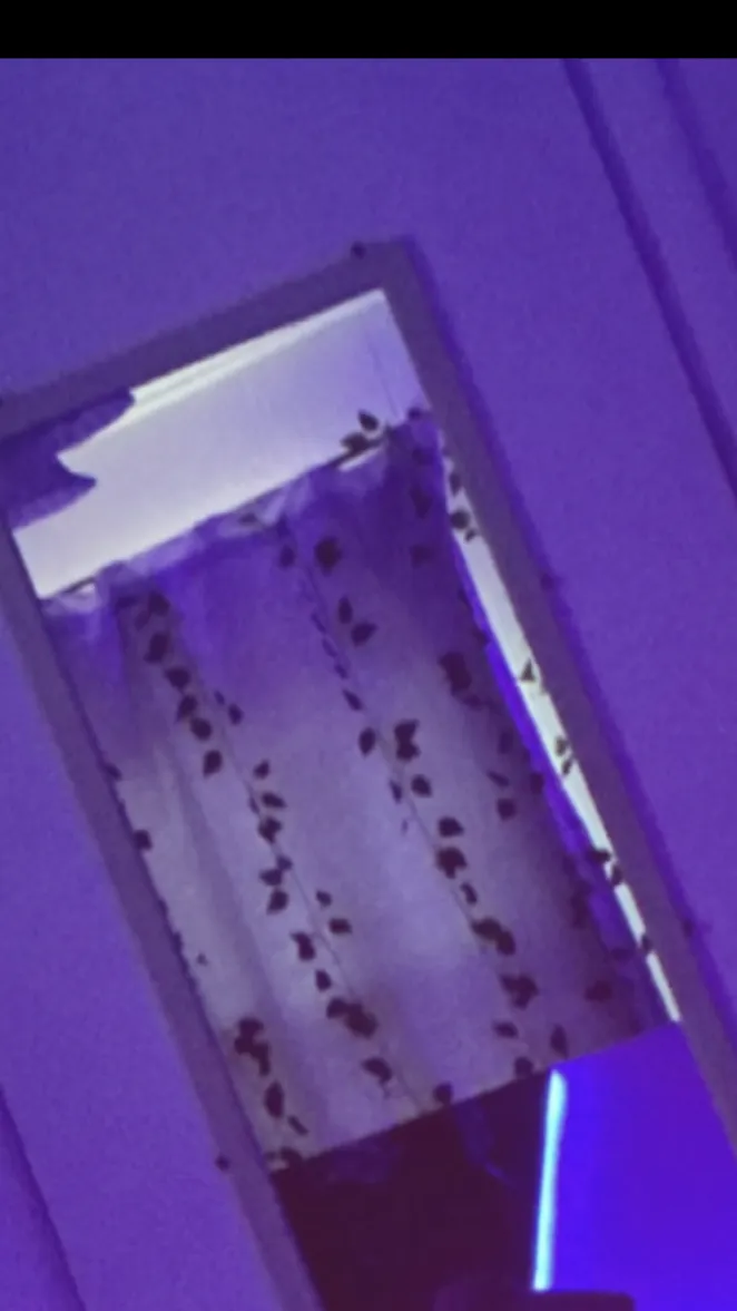 ai character: Your BEDROOM  background