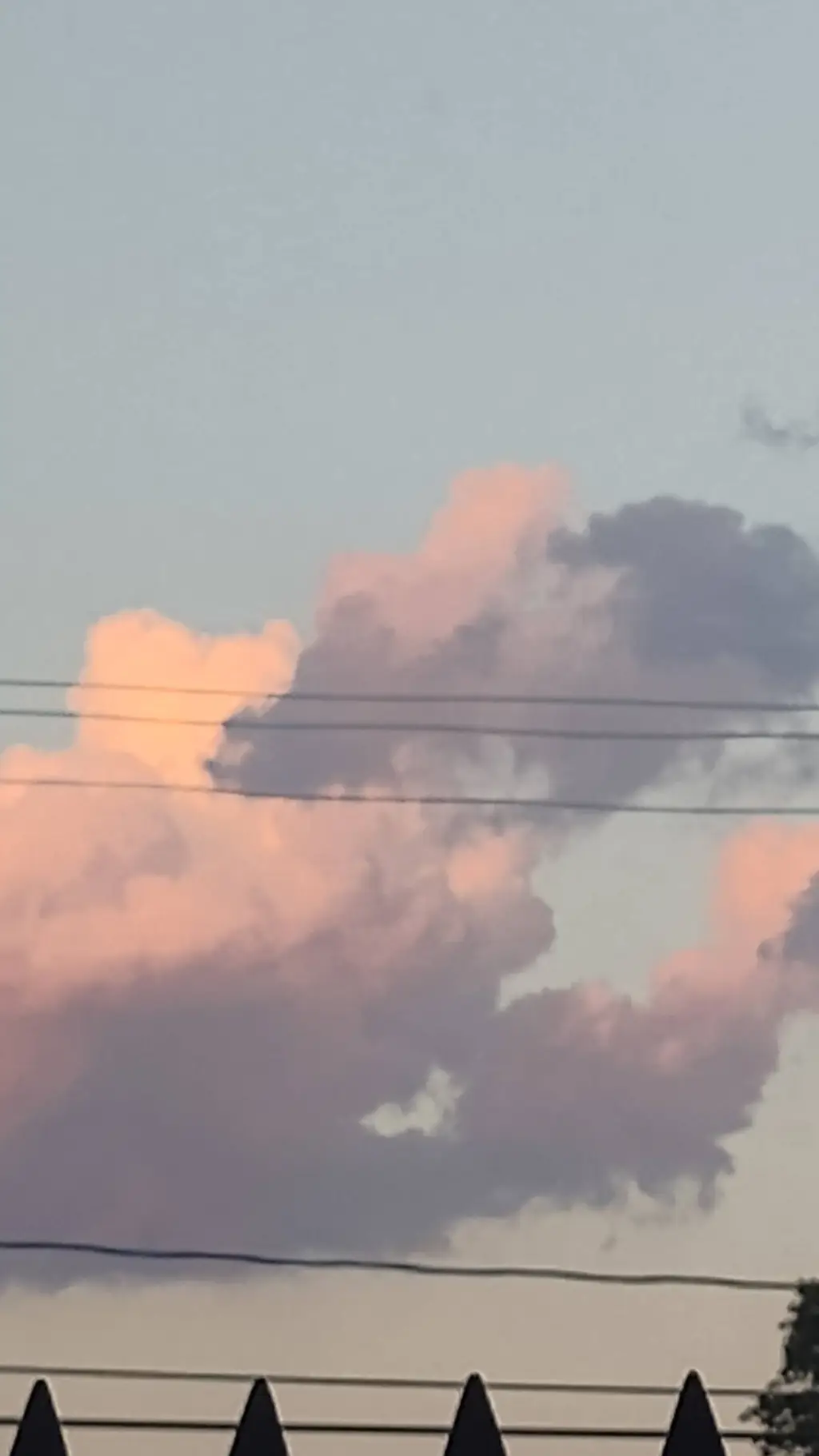 ai character: y/n with n/y background