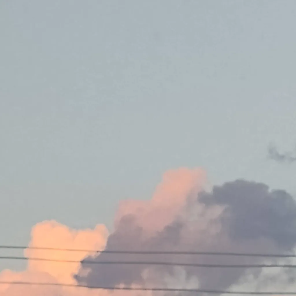 chat with ai character: y/n with n/y