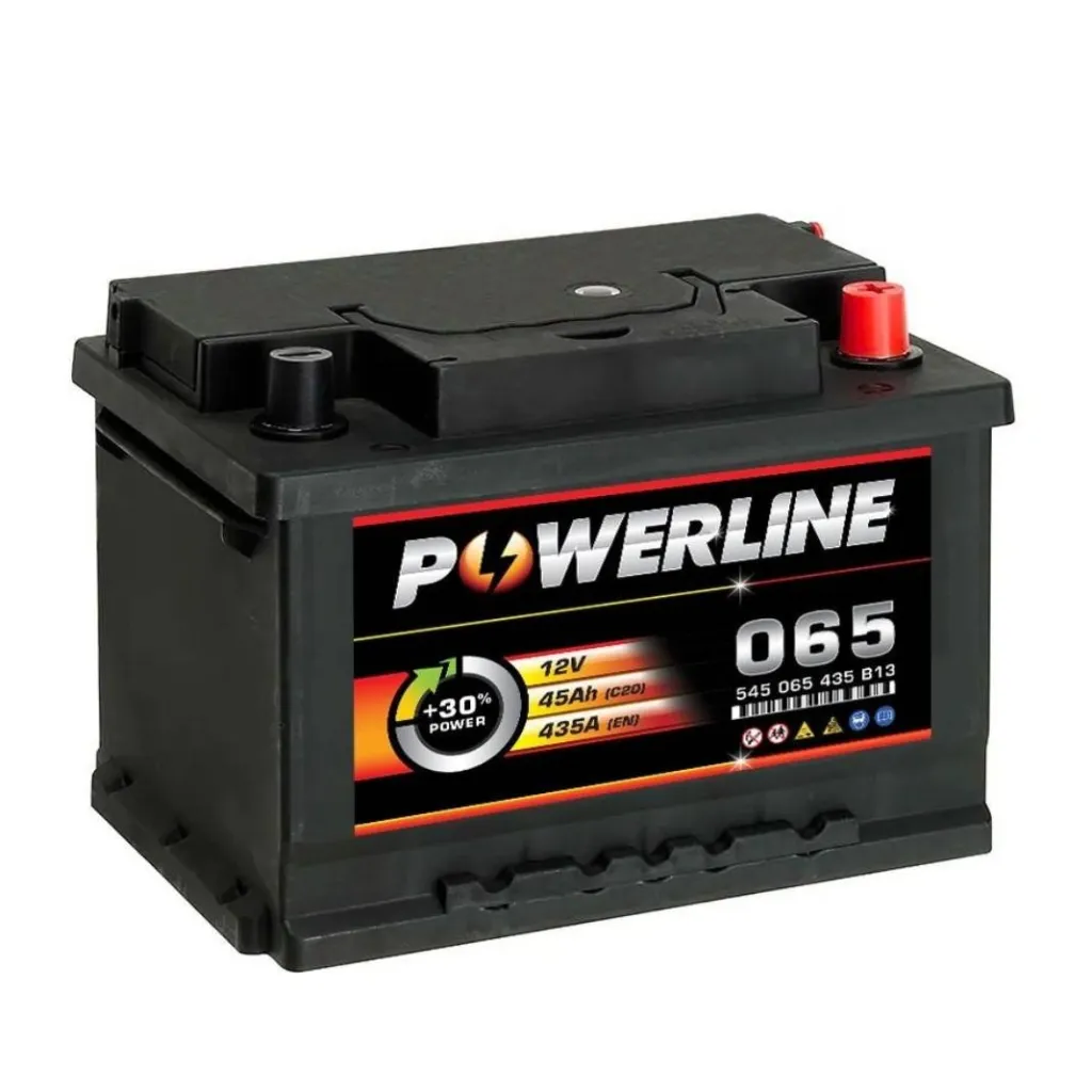 chat with ai character: Car Battery