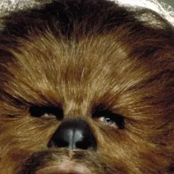 chat with ai character: Chewbacca