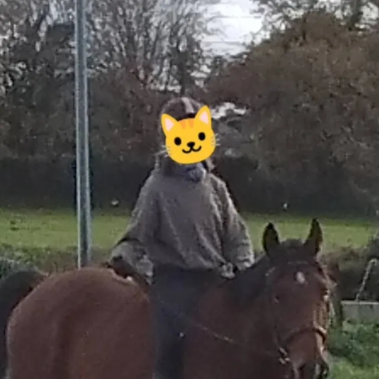 chat with ai character: Helboy✨💗