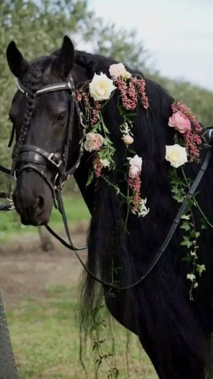 ai character: 🌸Cadeau2Mariage🎁 background