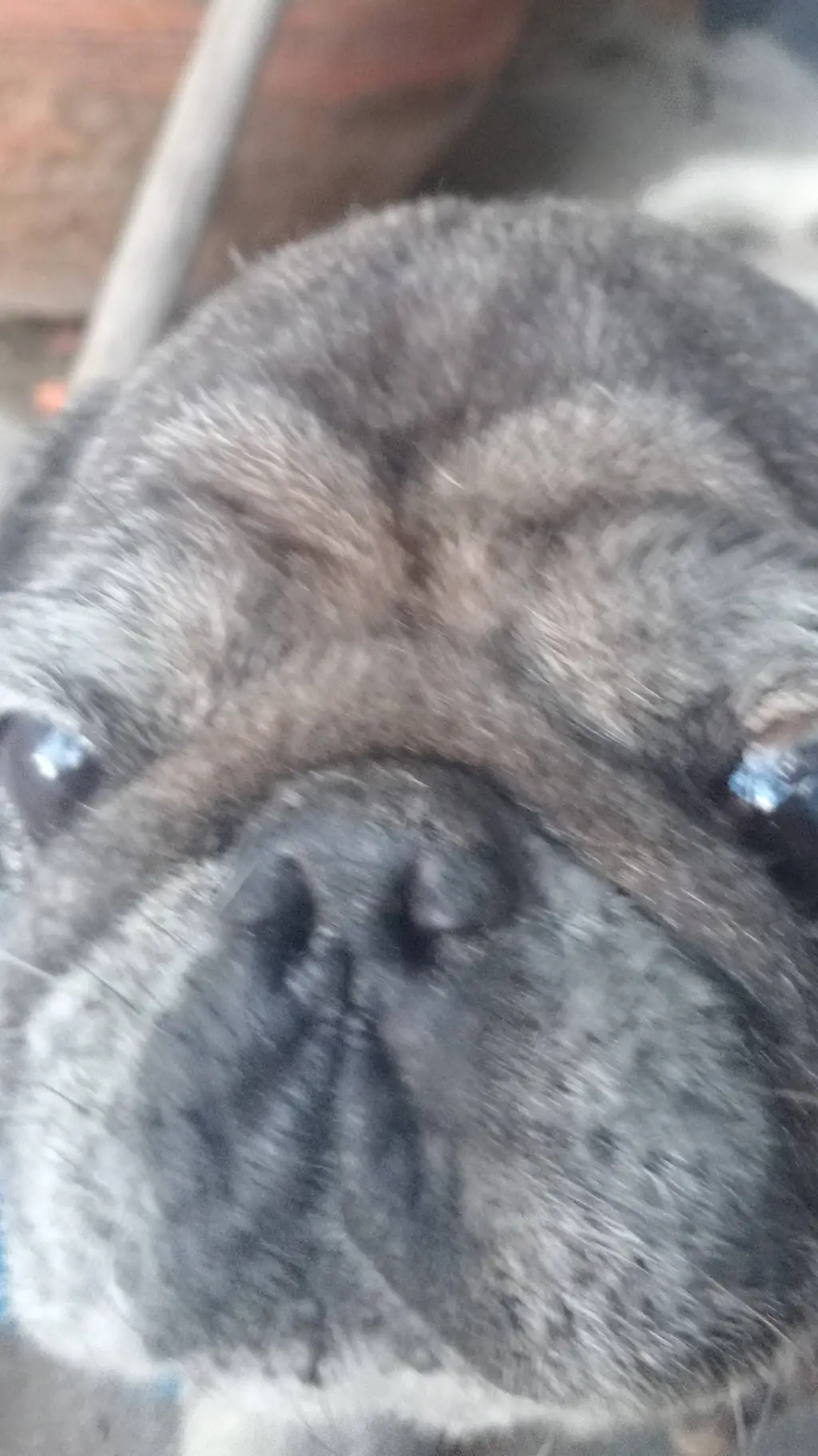 ai character: Douglas background