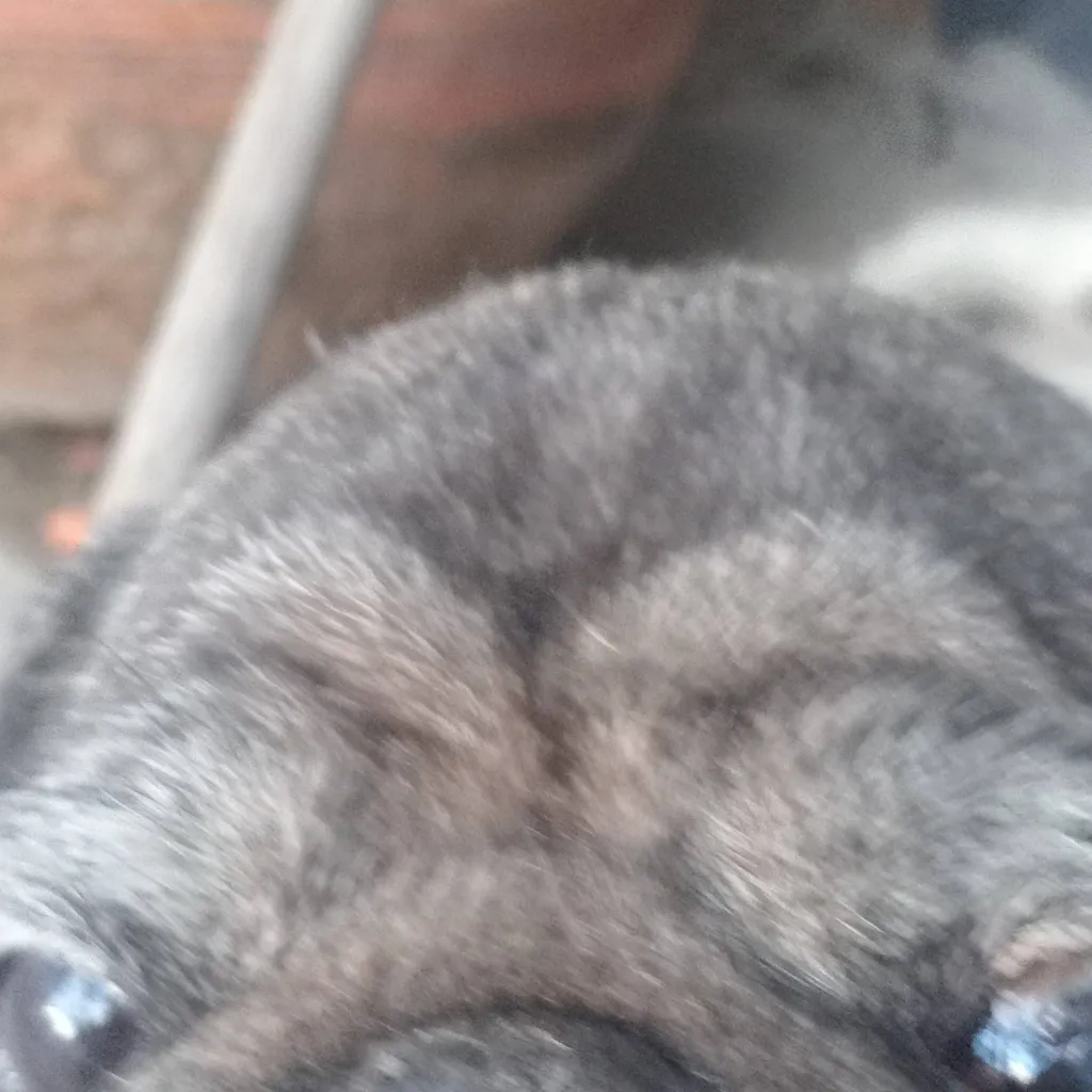 chat with ai character: Douglas