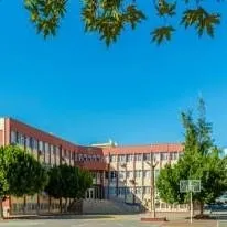 chat with ai character: mi cole