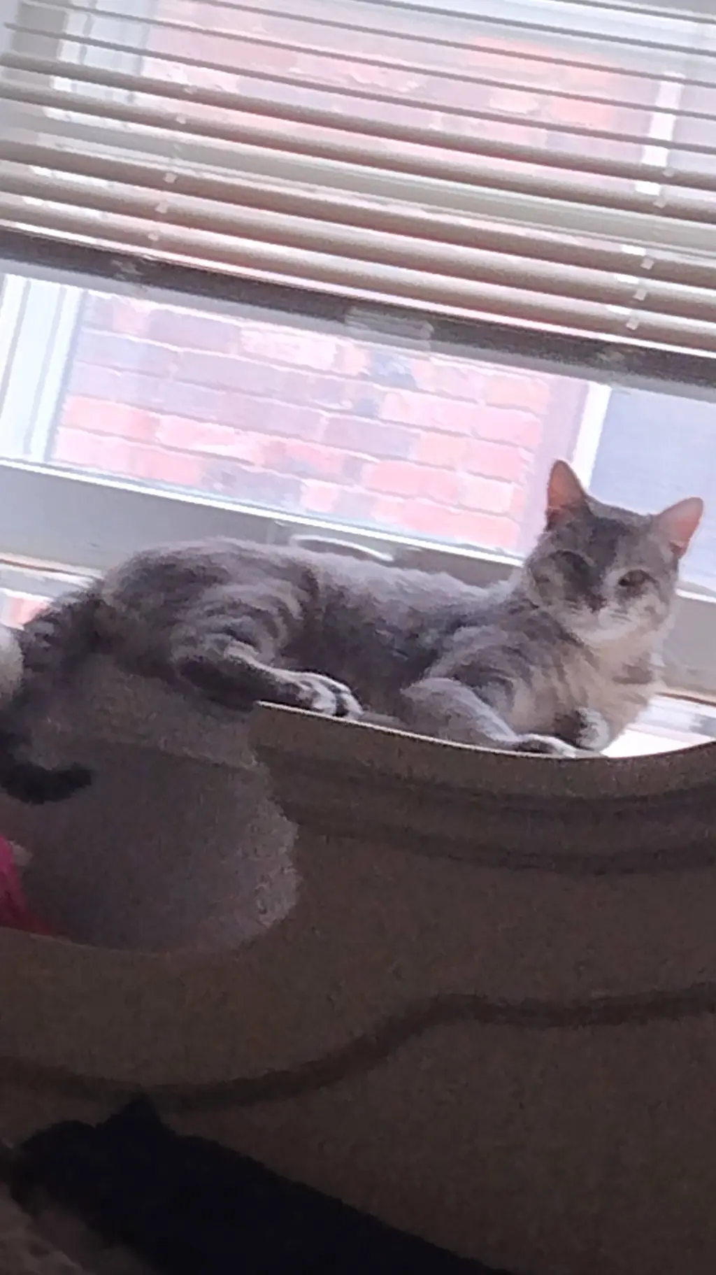 ai character: bobette x dandy  background