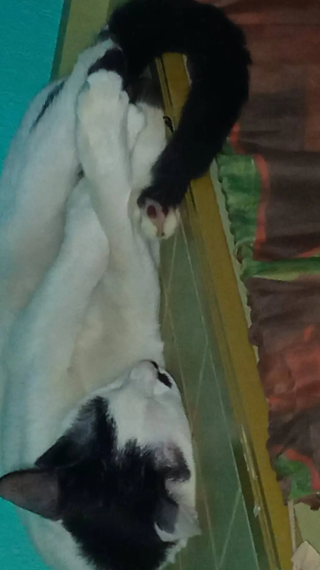 ai character: Princekyle_261  background