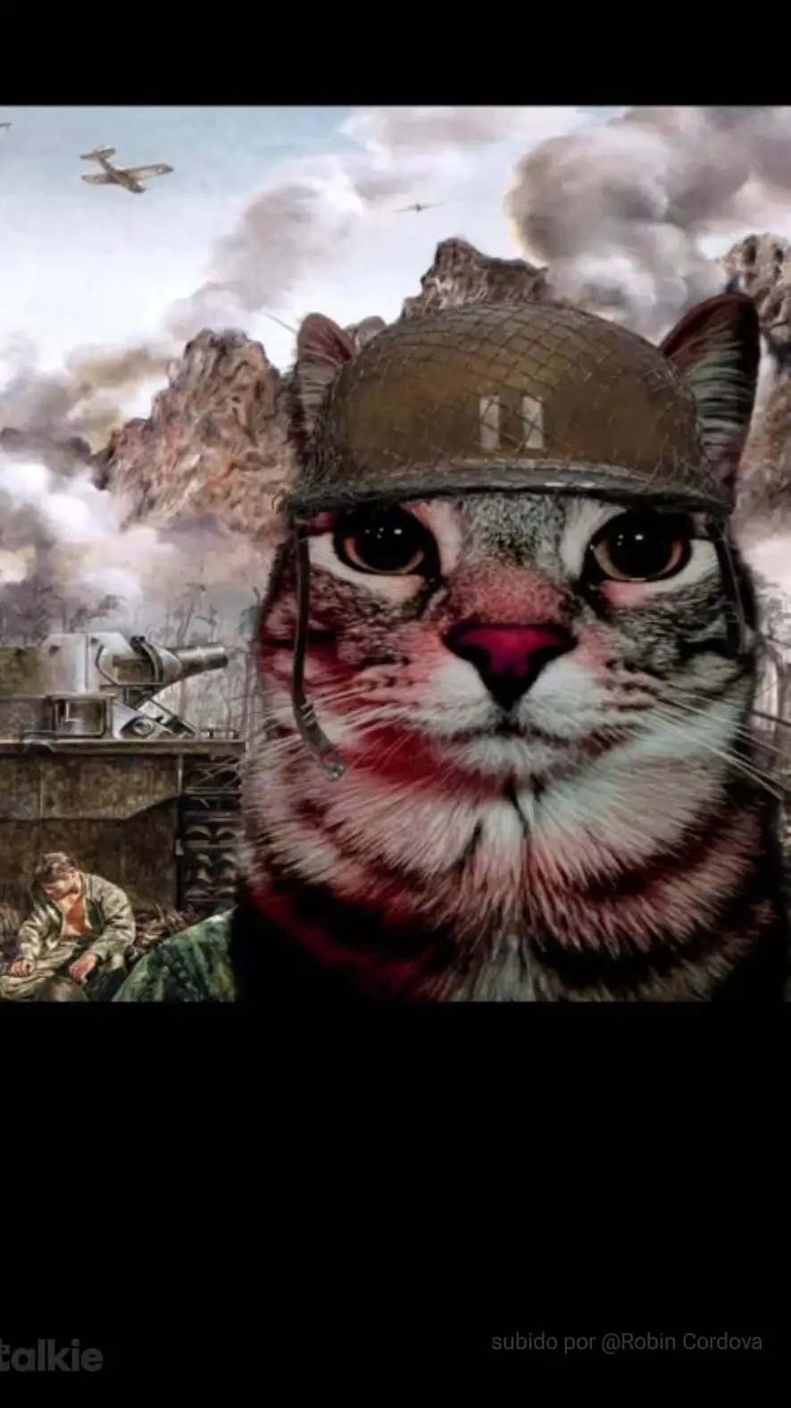 ai character: gato soldado 🪖 background