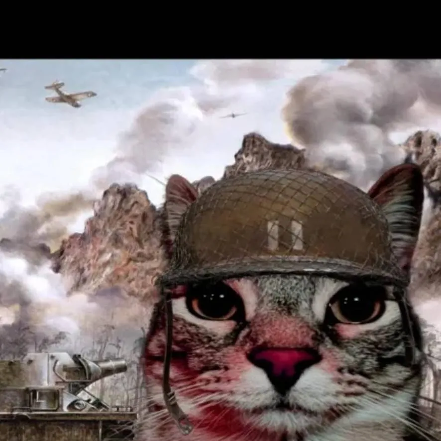 chat with ai character: gato soldado 🪖