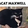 chat with ai character: maxwell vs oia