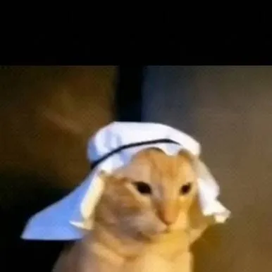 chat with ai character: gato árabe 