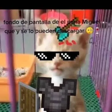 chat with ai character: el pana Miguel pro