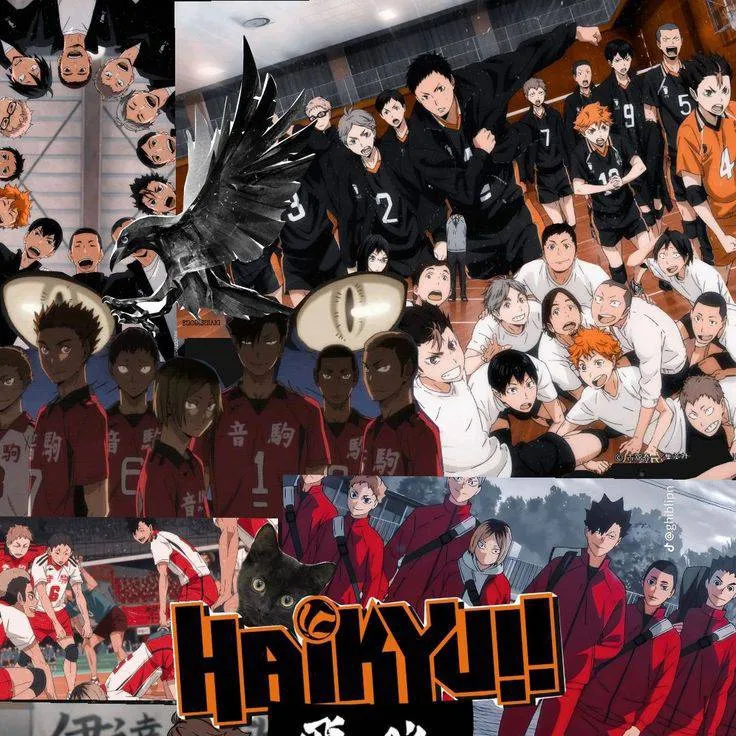 chat with ai character: HAIKYUU!!