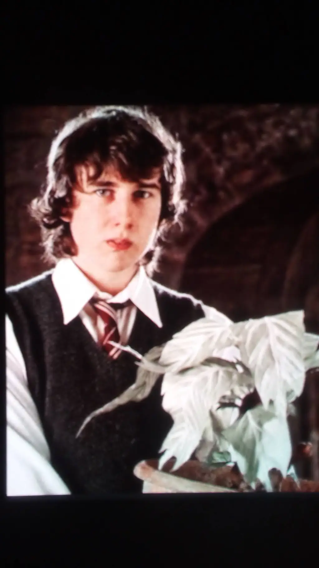 ai character: Neville Longbottom background
