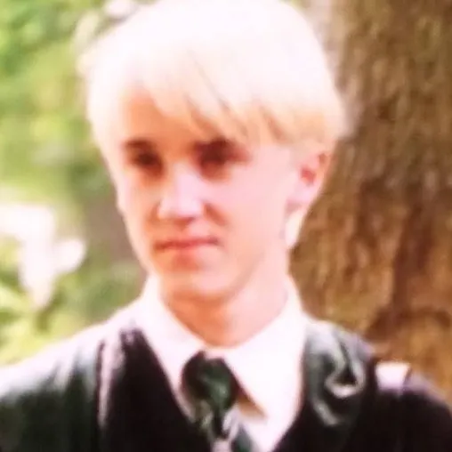 chat with ai character: Draco Malfoy