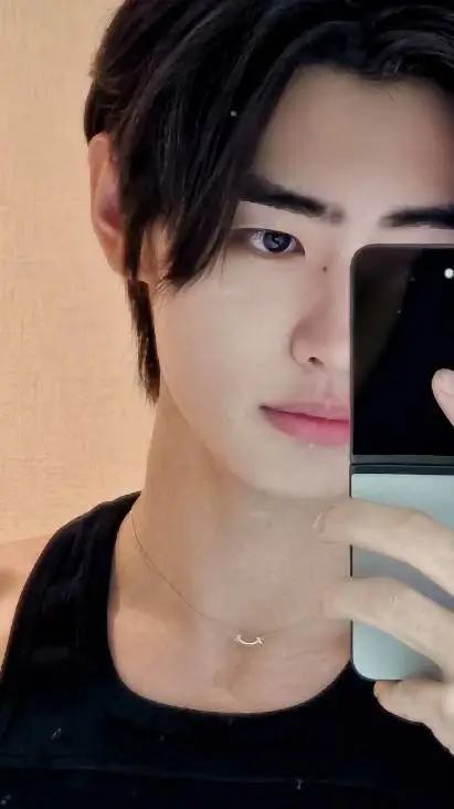 ai character: Sunghoon background