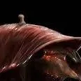 chat with ai character: meat snake