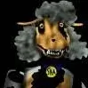 chat with ai character: sha