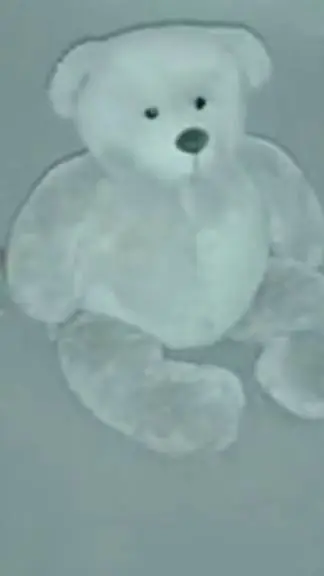 ai character: 🐻sola en casa🐻 background