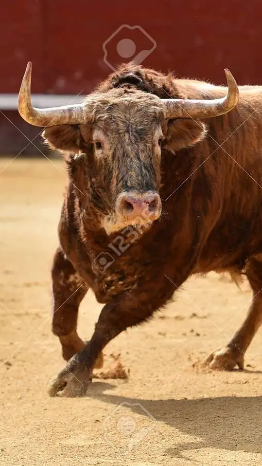 ai character: Nyati background