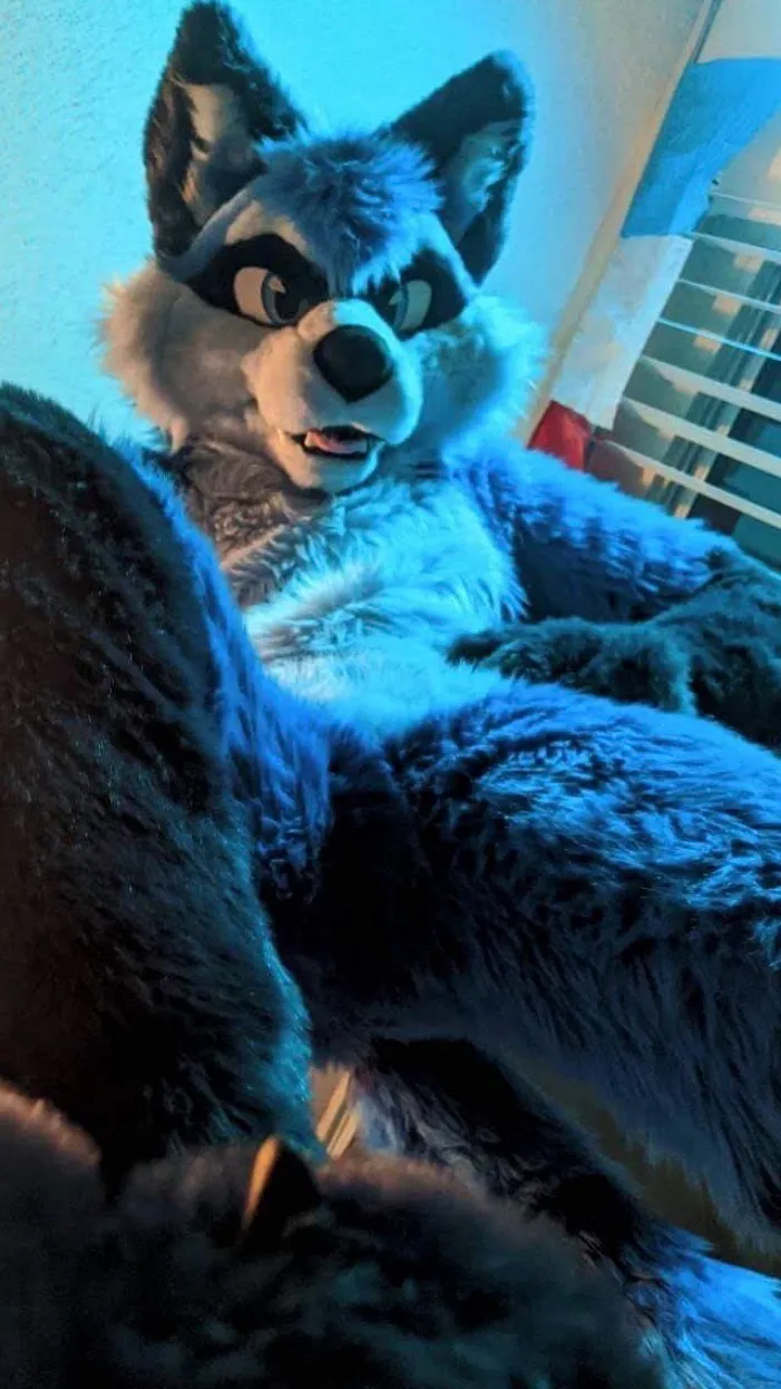 Talkie AI - Chat with Waffle