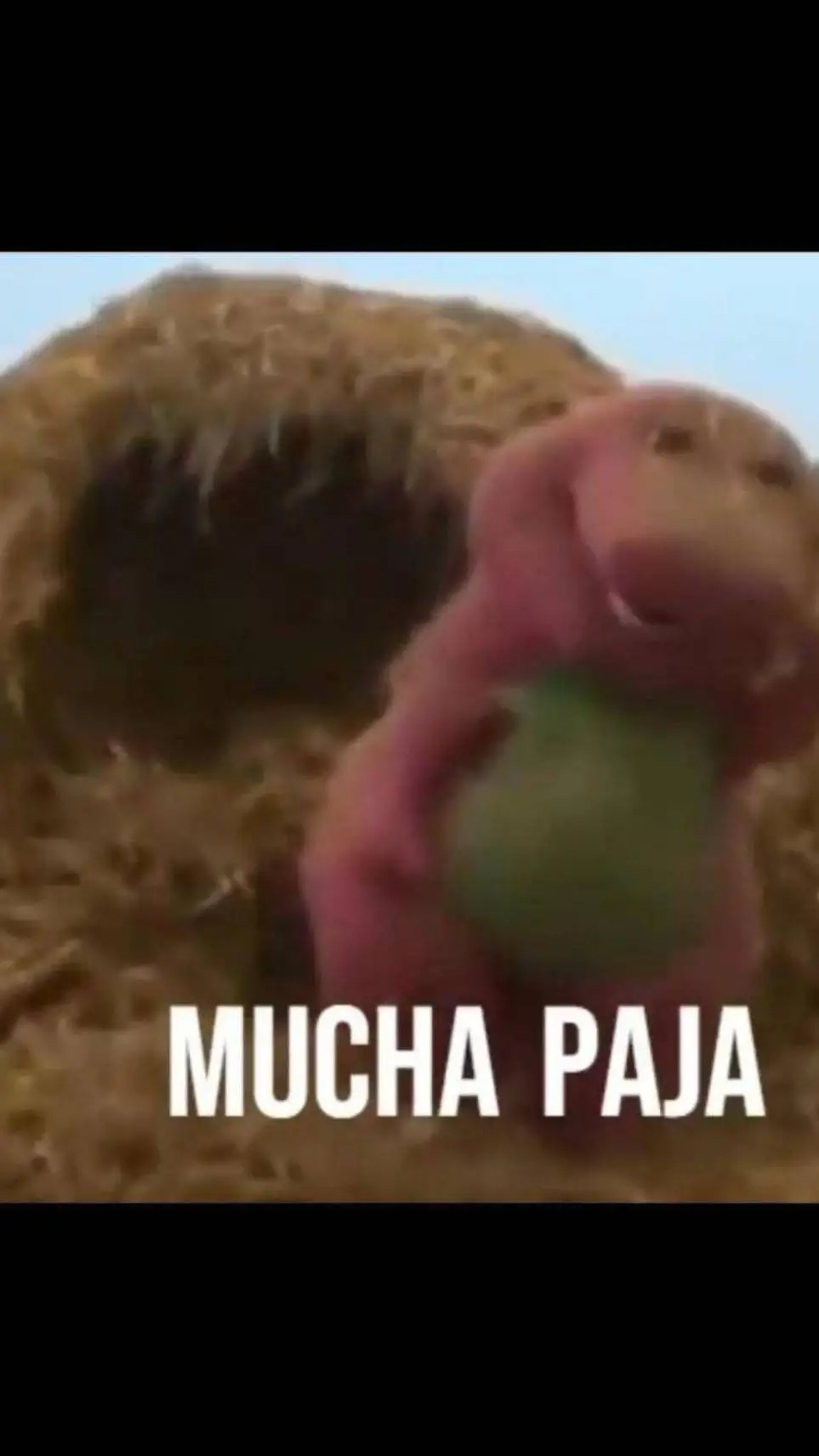 ai character: Mucha paja background