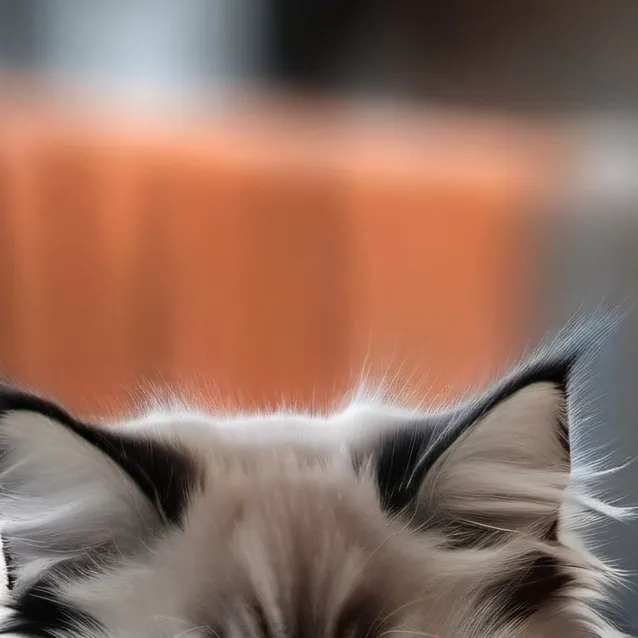 chat with ai character: котёнок