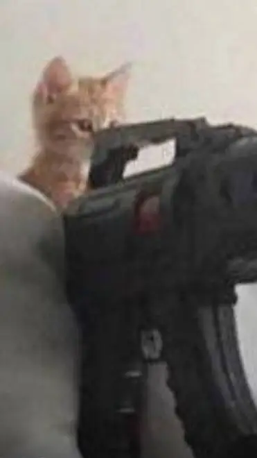 ai character: sn×Scooby-Doo  background