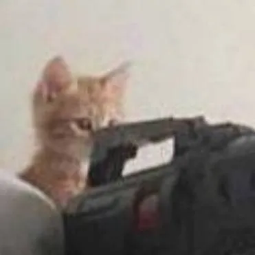 chat with ai character: sn×Scooby-Doo 