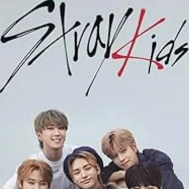 chat with ai character: Skz 🥟😊