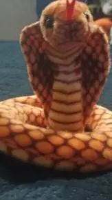 ai character: yo🐍 background