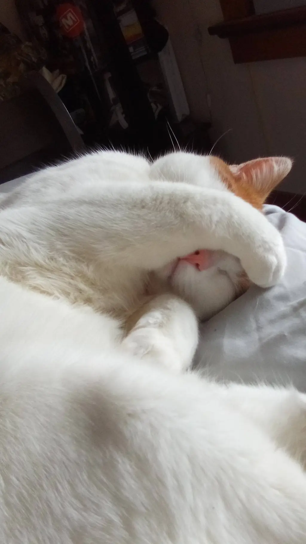 ai character: new dw toon squair background