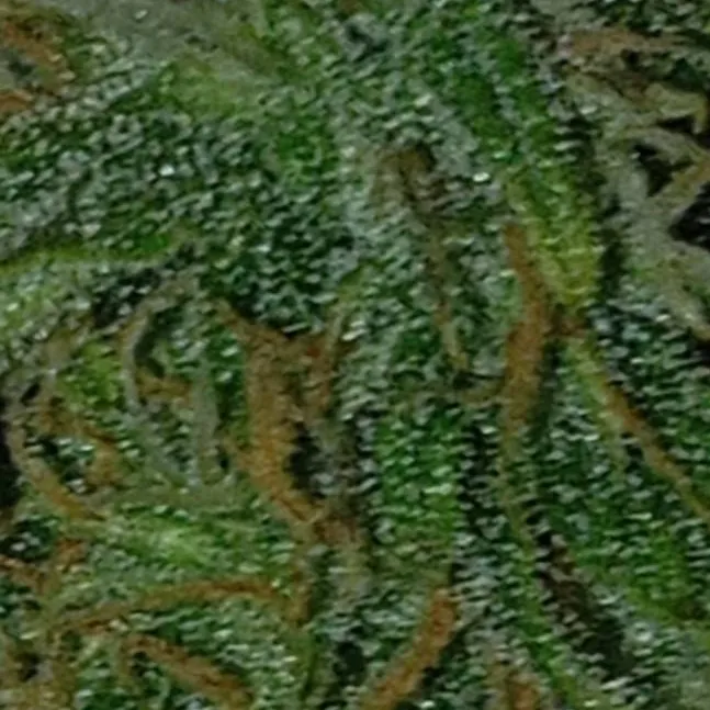 chat with ai character: Juanpastelillo