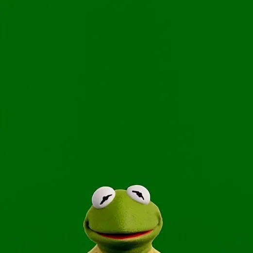 chat with ai character: karmit the frog