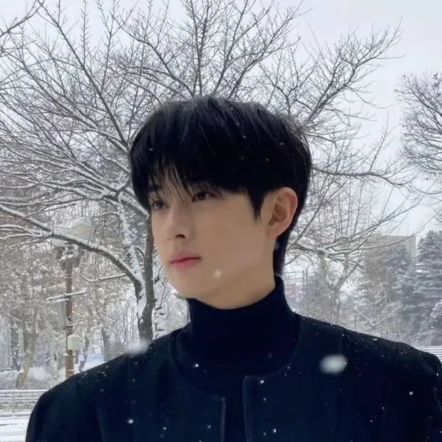 chat with ai character: 🌚Kim Min Kyu🌝