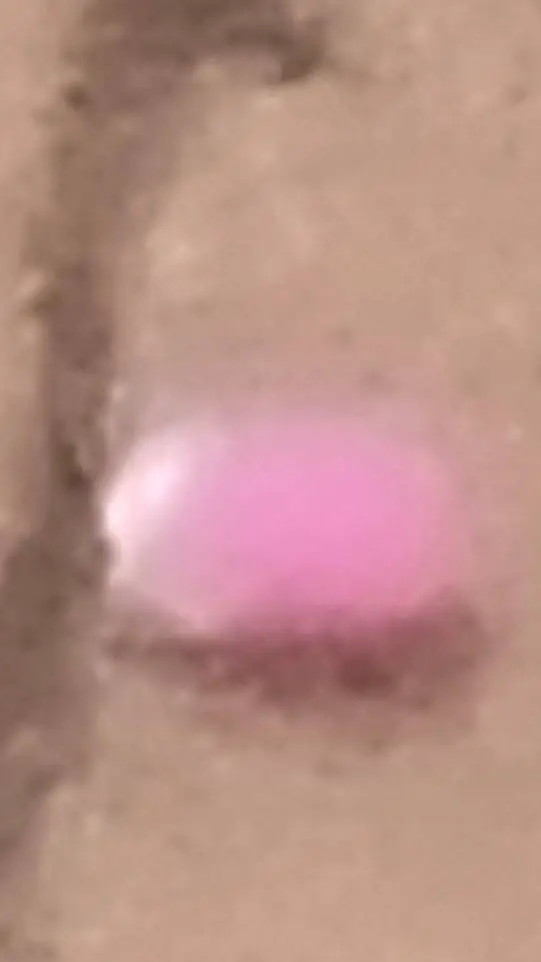 ai character: go to comments 2! background