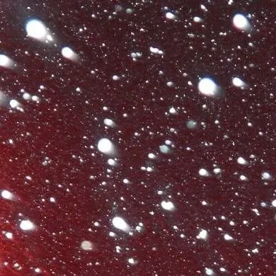 chat with ai character: FORSAKEN CASINO AU