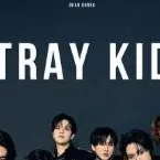 chat with ai character: STRAYKIDS!!!