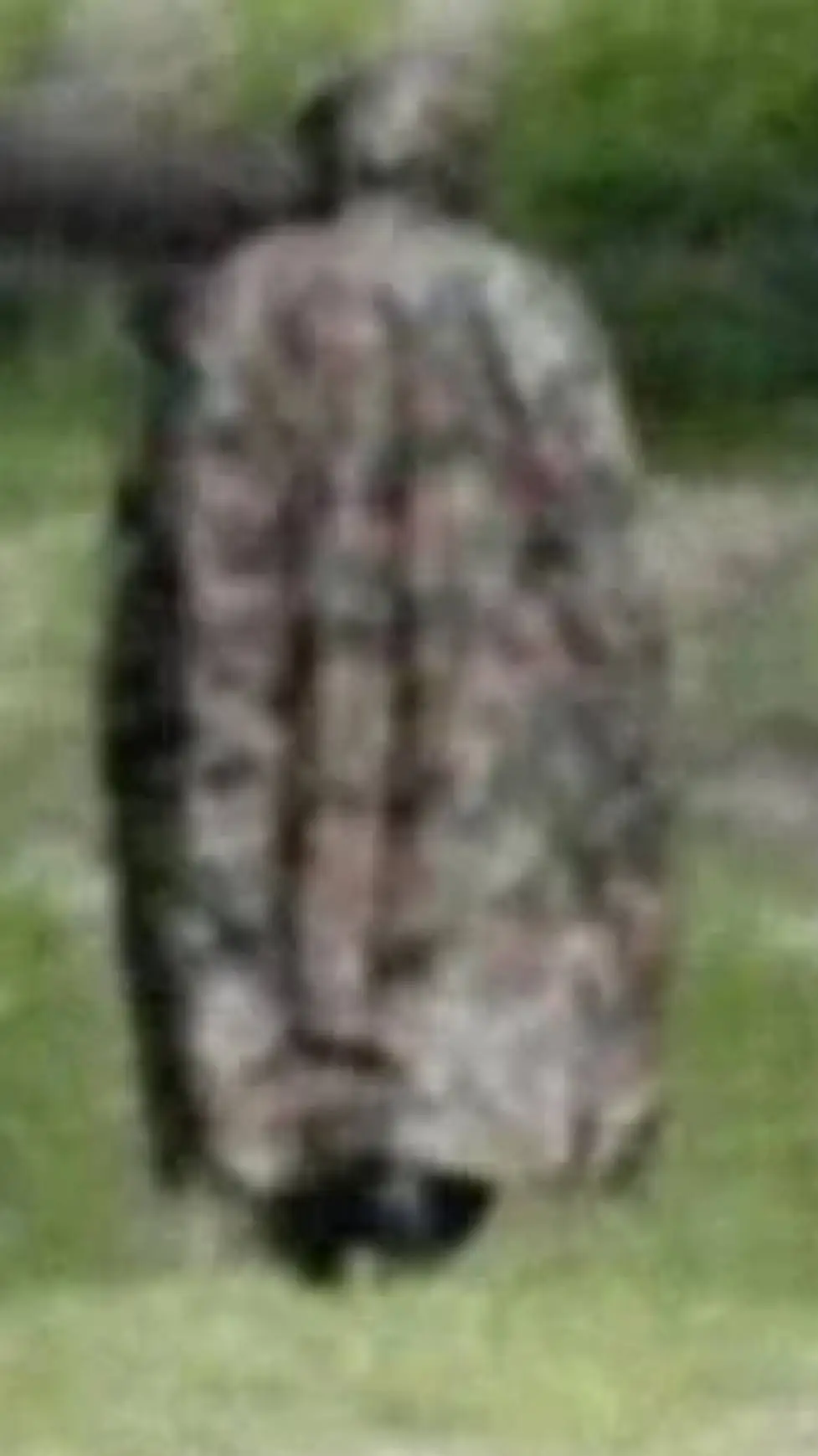 ai character: le loyon background