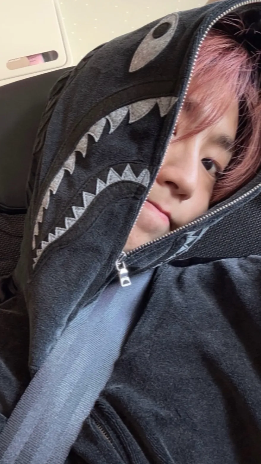 ai character: Han (dad)  background