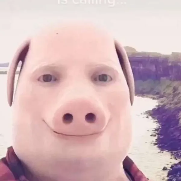 chat with ai character: John pork🔥