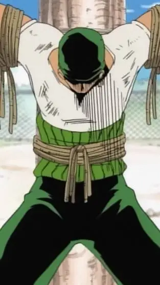 ai character: Roronoa zoro background