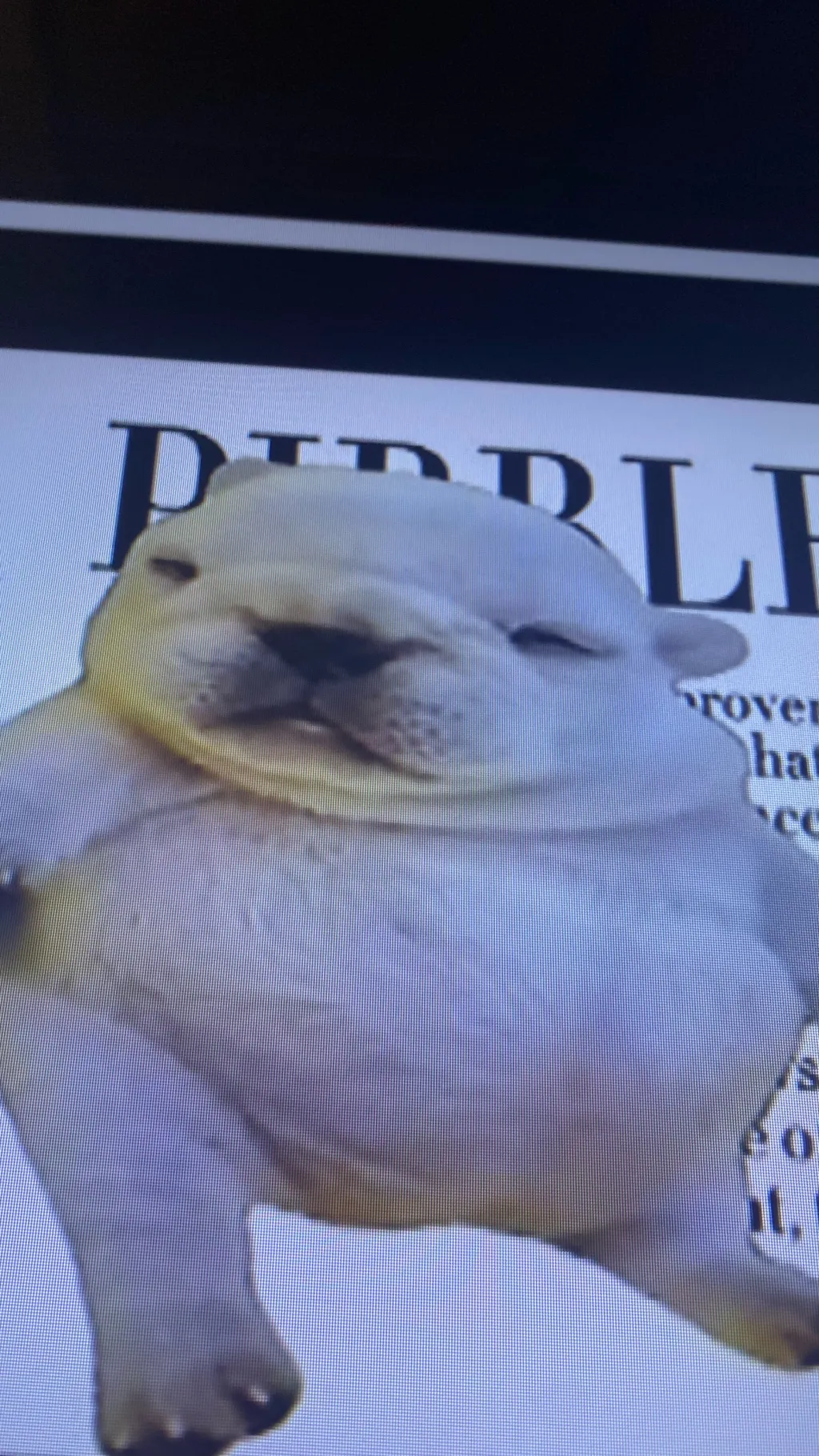 ai character: Pitbull background