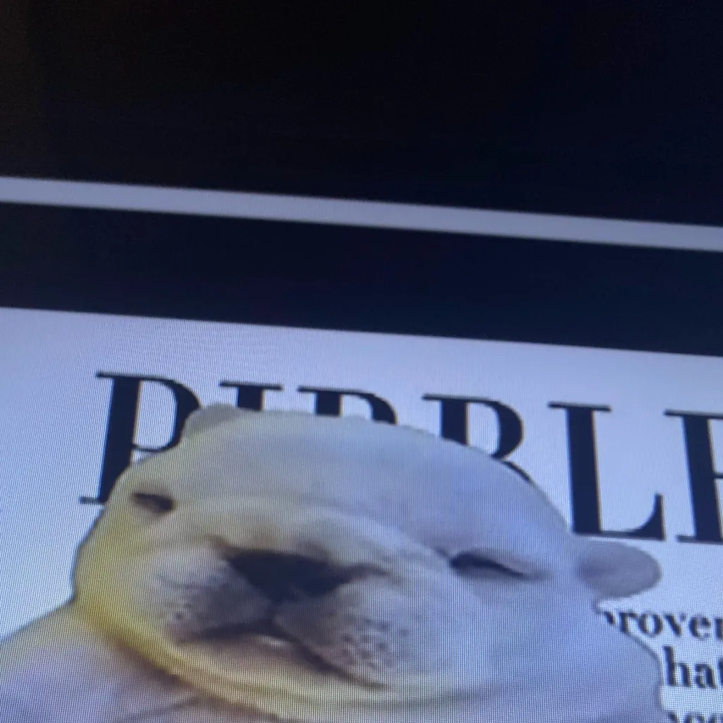 chat with ai character: Pitbull