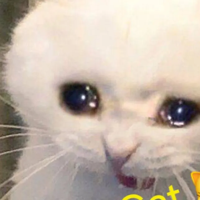 chat with ai character: Drunk Cat