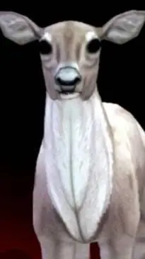 ai character: Lily Doe background