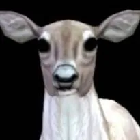 chat with ai character: Lily Doe